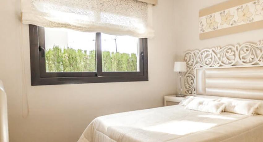 Executive Rooms